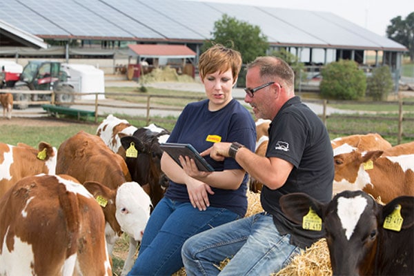 JOSERA Kälber auf der Weide mit Landwirt und Beratung