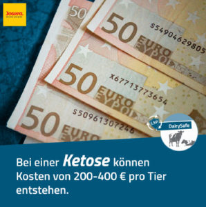 JOSERA Kosten einer Ketose von 200-400 Euro pro Tier