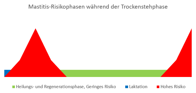 Diagramm - Mastitisrisiko während der Trockenstehphase